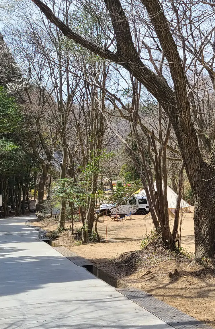 オートサイトの様子