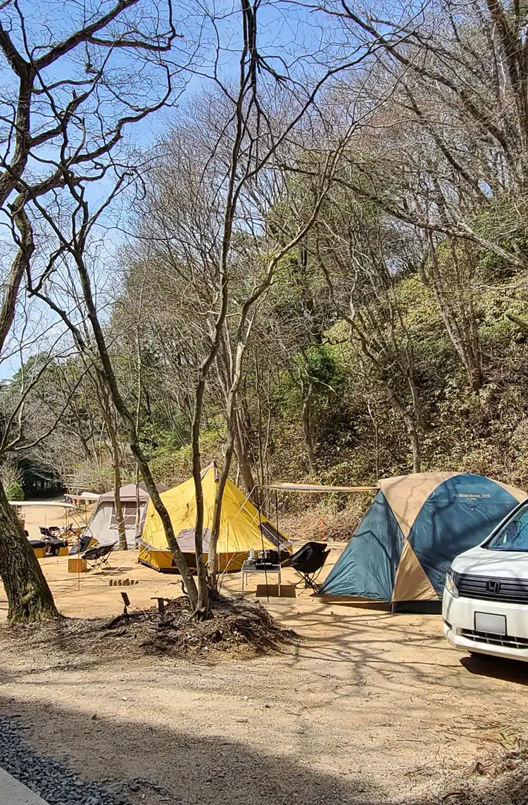 オートサイトの様子