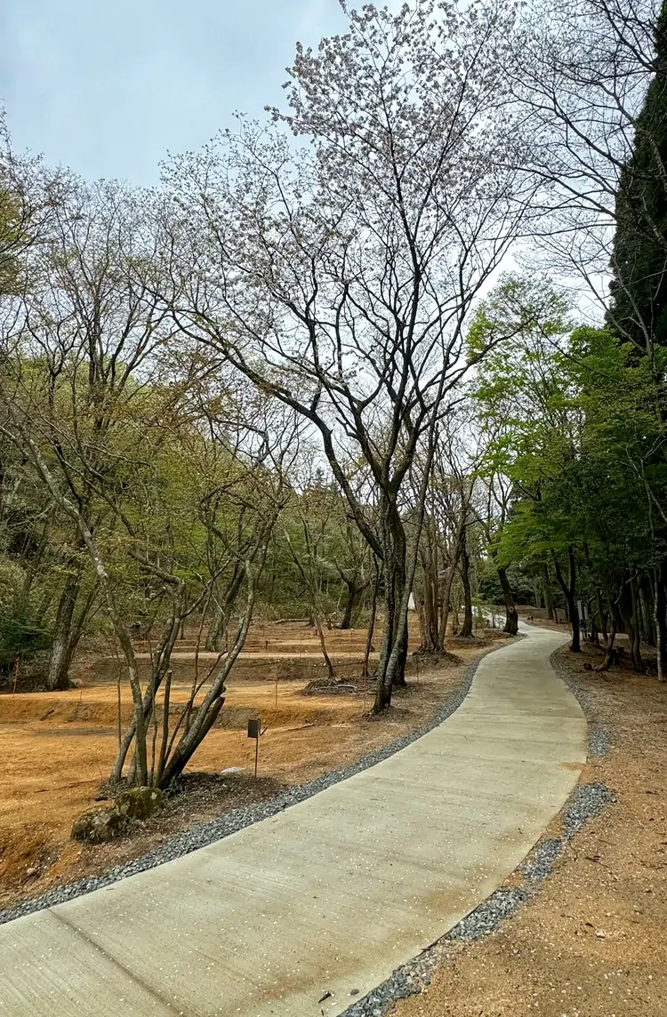 オートサイトの様子