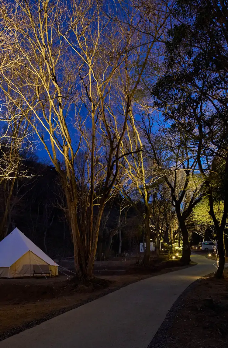 オートサイトの様子