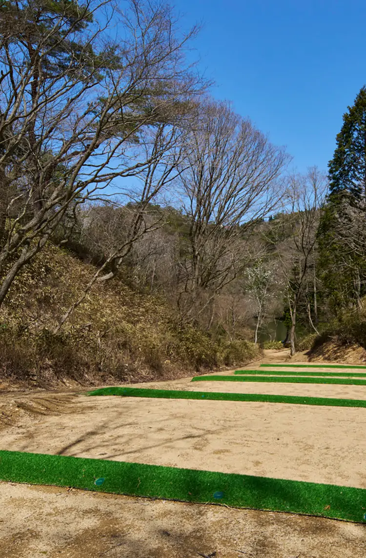 レイクサイトの様子